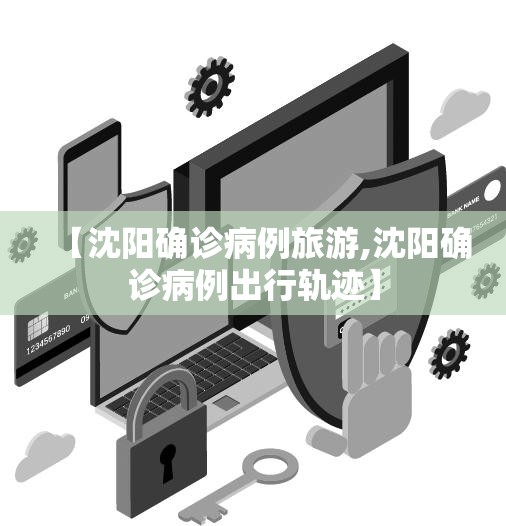 【沈阳确诊病例旅游,沈阳确诊病例出行轨迹】