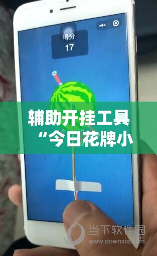 辅助开挂工具“今日花牌小程序开挂”科技辅助神器手机版