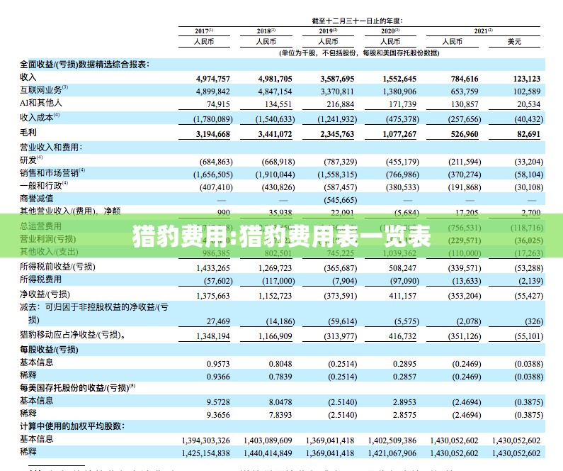 猎豹费用:猎豹费用表一览表