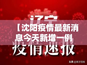 【沈阳疫情最新消息今天新增一例,沈阳疫情最新消息今天新增人数】