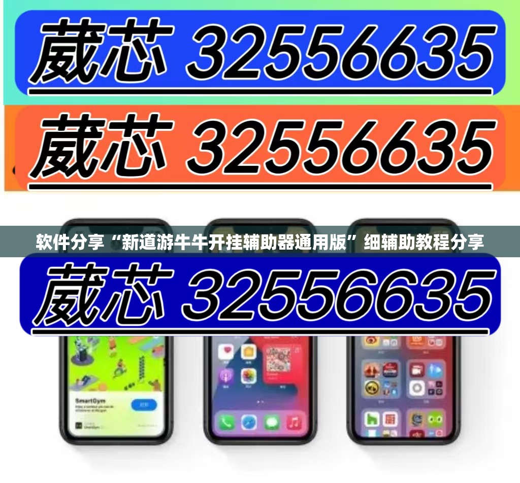 软件分享“新道游牛牛开挂辅助器通用版”细辅助教程分享