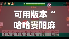 可用版本“哈哈贵阳麻将开挂”开挂(透视)辅助教程
