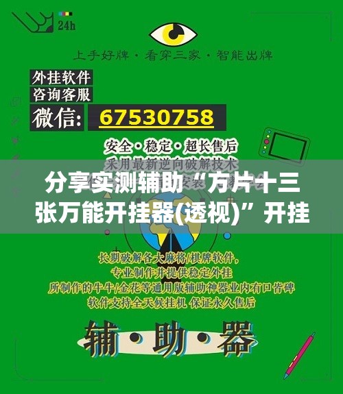 分享实测辅助“方片十三张万能开挂器(透视)”开挂辅助脚本+详细开挂安装教程