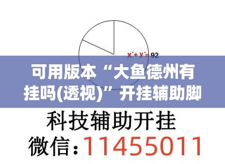 可用版本“大鱼德州有挂吗(透视)”开挂辅助脚本+详细开挂安装教程