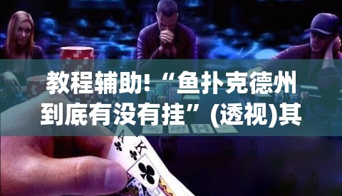 教程辅助!“鱼扑克德州到底有没有挂”(透视)其实确实有挂