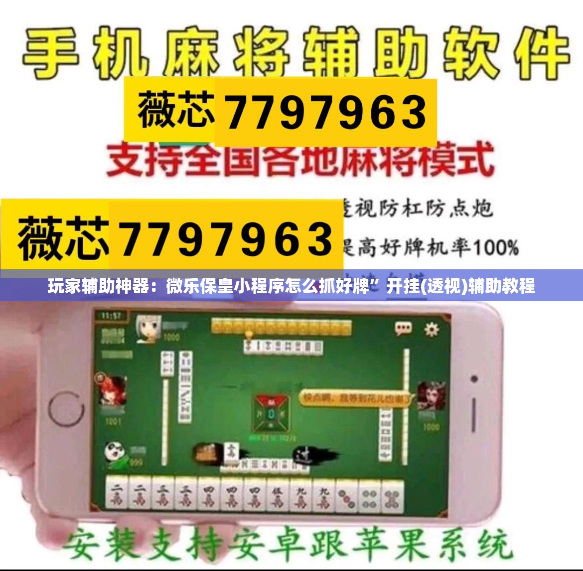 玩家辅助神器：微乐保皇小程序怎么抓好牌”开挂(透视)辅助教程