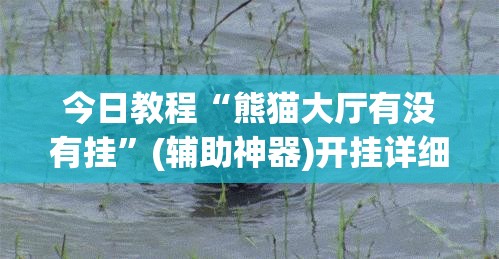 今日教程“熊猫大厅有没有挂	”(辅助神器)开挂详细教程