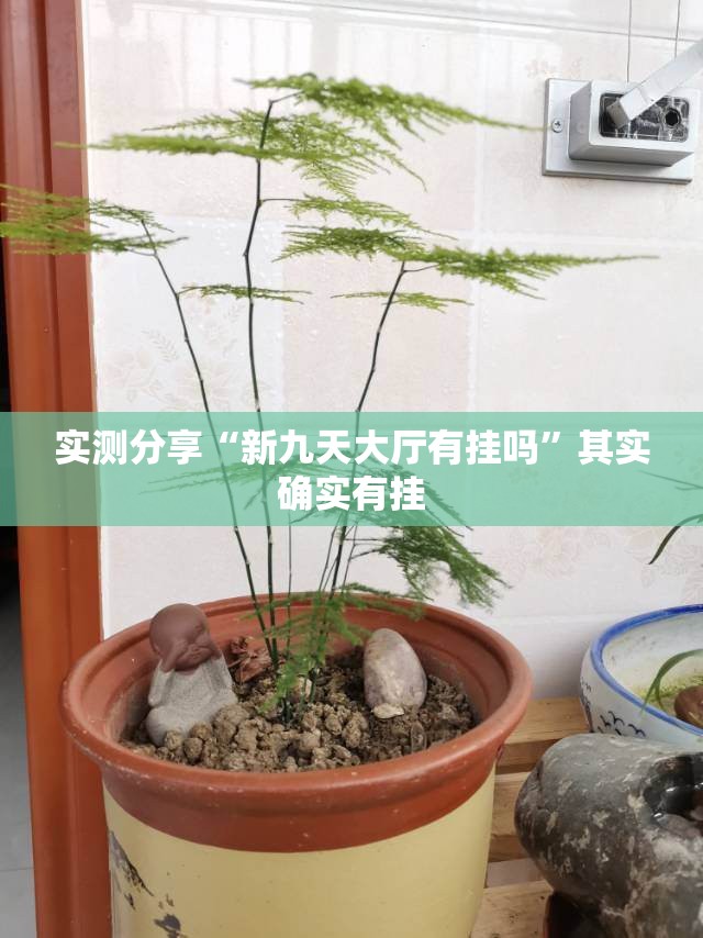 实测分享“新九天大厅有挂吗”其实确实有挂
