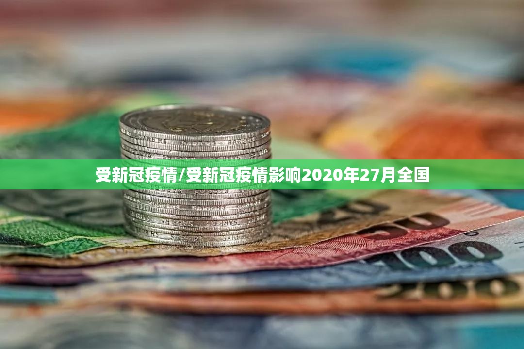 受新冠疫情/受新冠疫情影响2020年27月全国