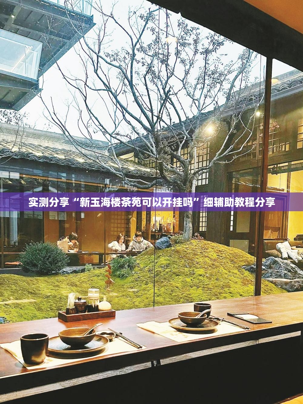 实测分享“新玉海楼茶苑可以开挂吗”细辅助教程分享