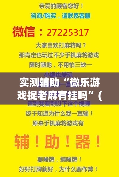 实测辅助“微乐游戏捉老麻有挂吗”(透视挂)辅助下载教程