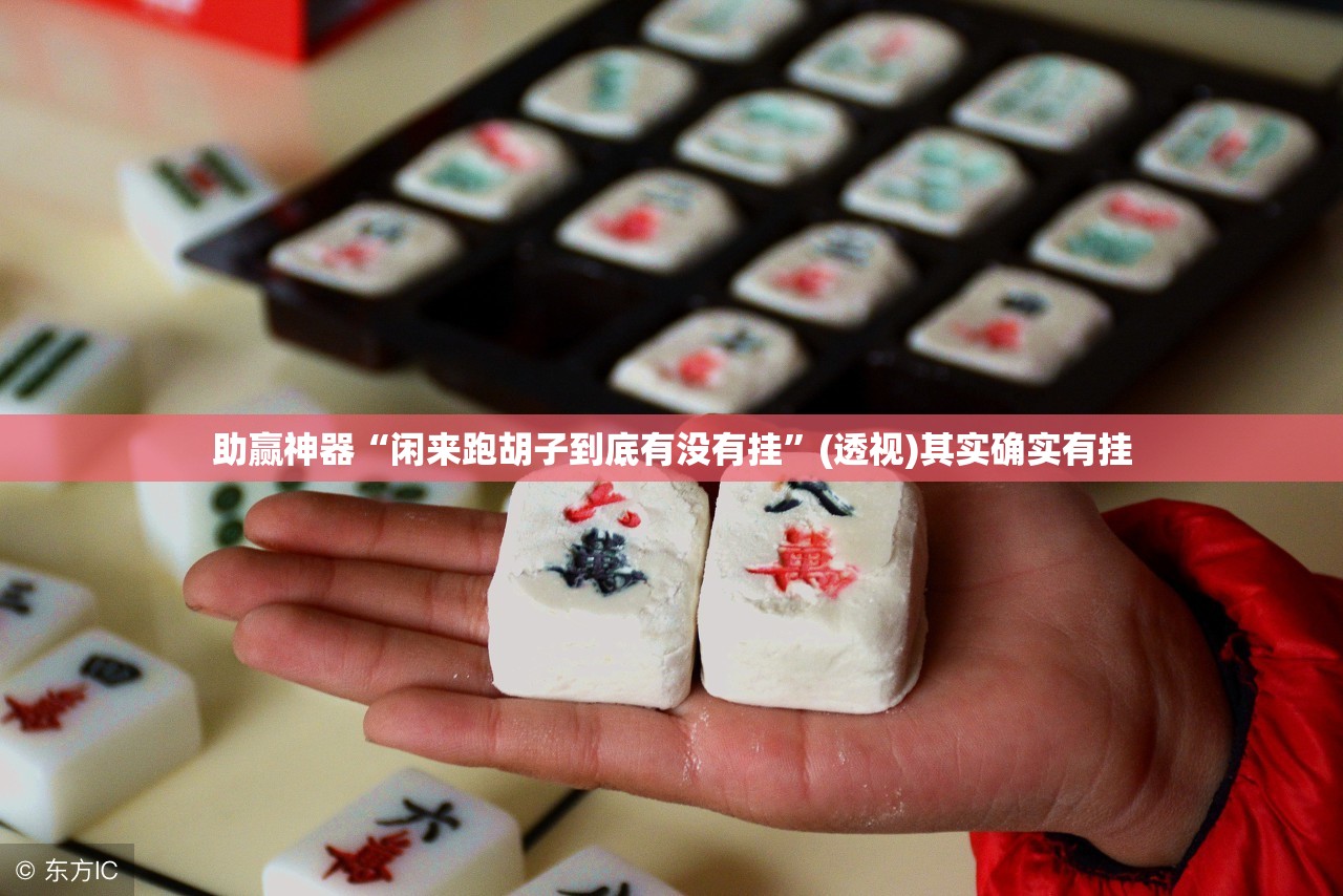 助赢神器“闲来跑胡子到底有没有挂”(透视)其实确实有挂