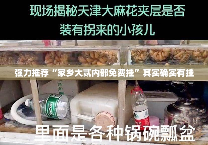 强力推荐“家乡大贰内部免费挂”其实确实有挂