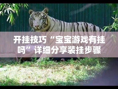 开挂技巧“宝宝游戏有挂吗	”详细分享装挂步骤