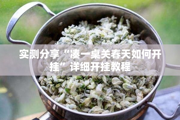 实测分享“凑一桌关春天如何开挂”详细开挂教程