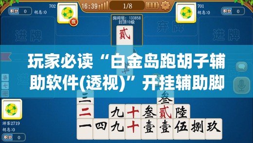 玩家必读“白金岛跑胡子辅助软件(透视)”开挂辅助脚本+详细开挂安装教程