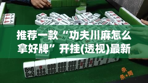 推荐一款“功夫川麻怎么拿好牌”开挂(透视)最新辅助详细