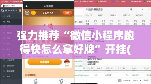 强力推荐“微信小程序跑得快怎么拿好牌”开挂(透视)辅助教程