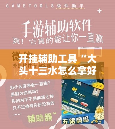 开挂辅助工具“大头十三水怎么拿好牌”科技辅助神器手机版