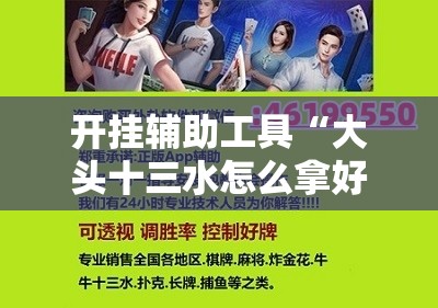 开挂辅助工具“大头十三水怎么拿好牌	”科技辅助神器手机版