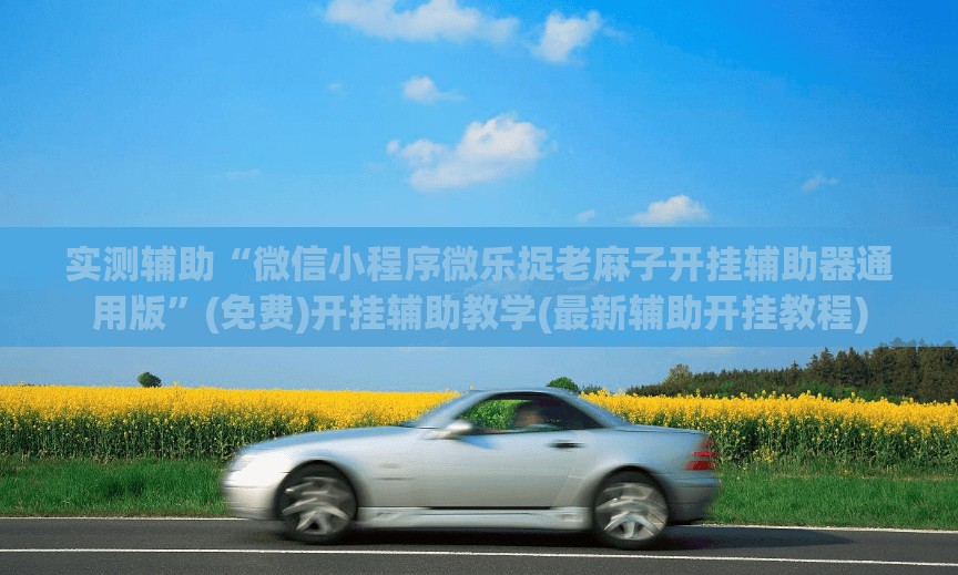 实测辅助“微信小程序微乐捉老麻子开挂辅助器通用版”(免费)开挂辅助教学(最新辅助开挂教程)