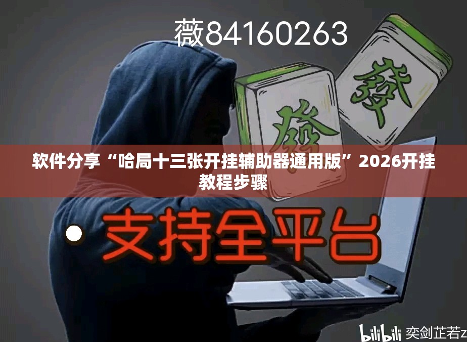 软件分享“哈局十三张开挂辅助器通用版”2026开挂教程步骤