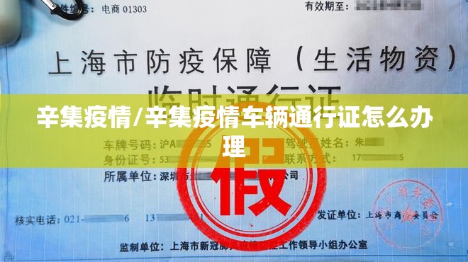 辛集疫情/辛集疫情车辆通行证怎么办理