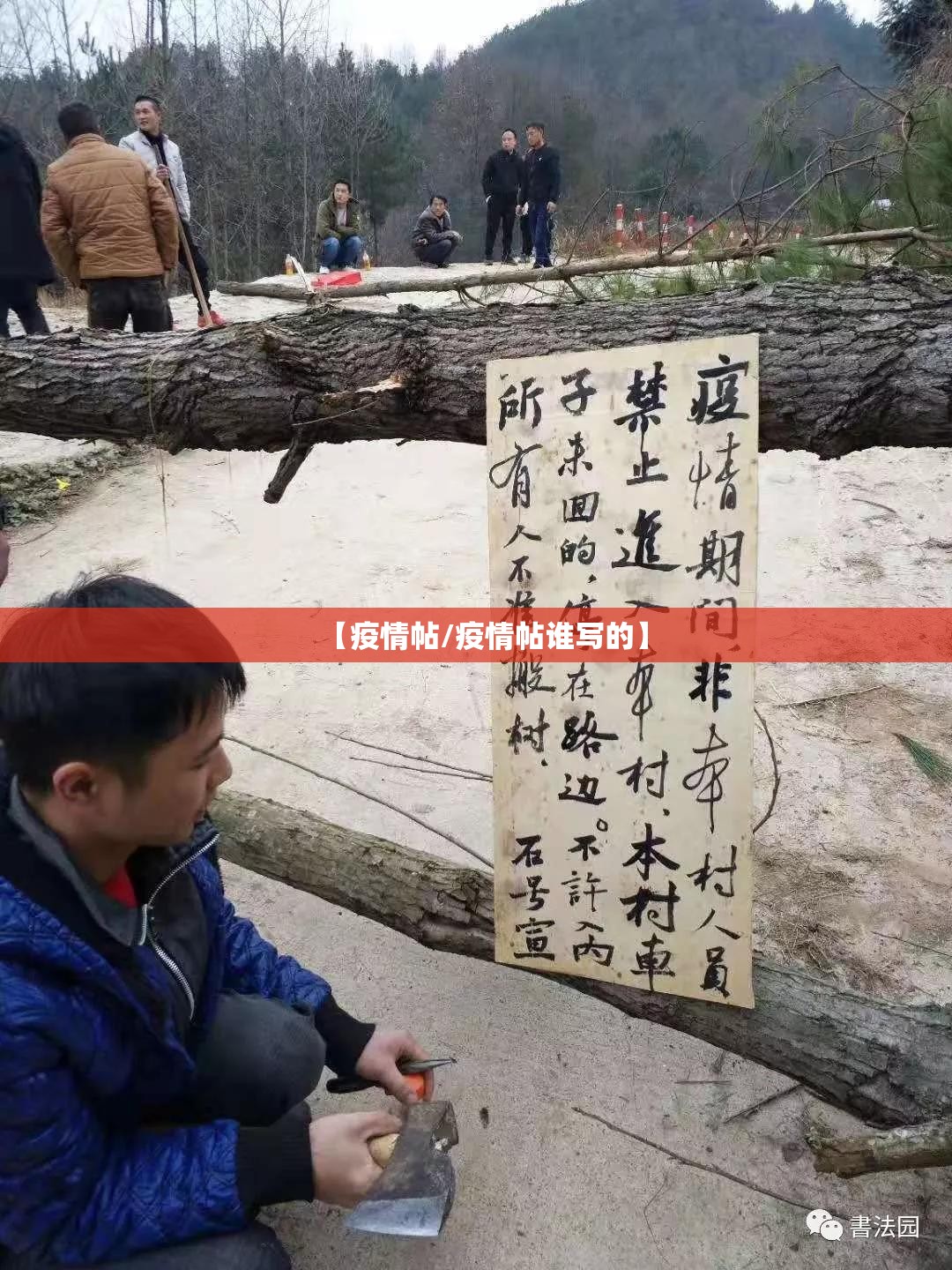 【疫情帖/疫情帖谁写的】 【疫情帖/疫情帖谁写的】