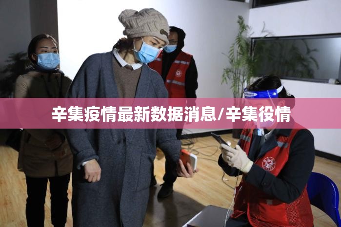 辛集疫情最新数据消息/辛集役情