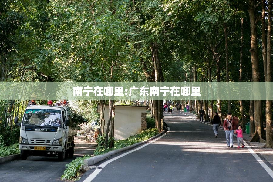 南宁在哪里:广东南宁在哪里