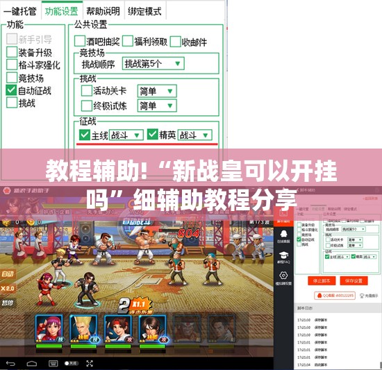 教程辅助!“新战皇可以开挂吗”细辅助教程分享