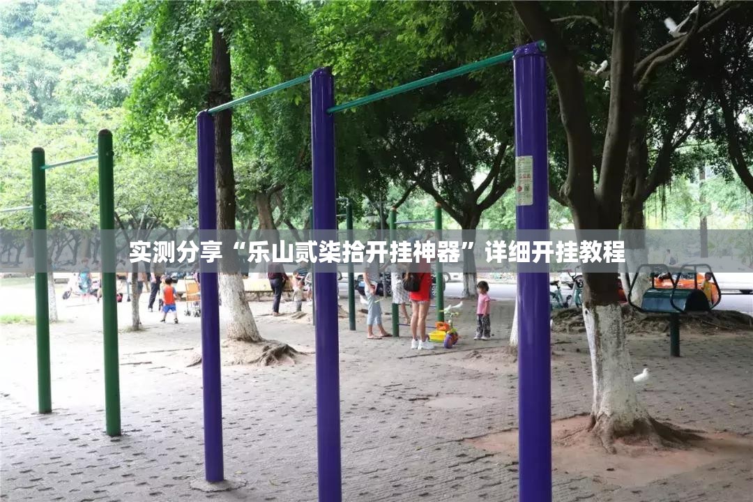 实测分享“乐山贰柒拾开挂神器”详细开挂教程