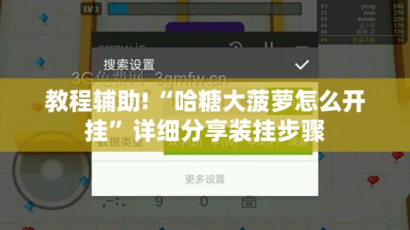 教程辅助!“哈糖大菠萝怎么开挂”详细分享装挂步骤