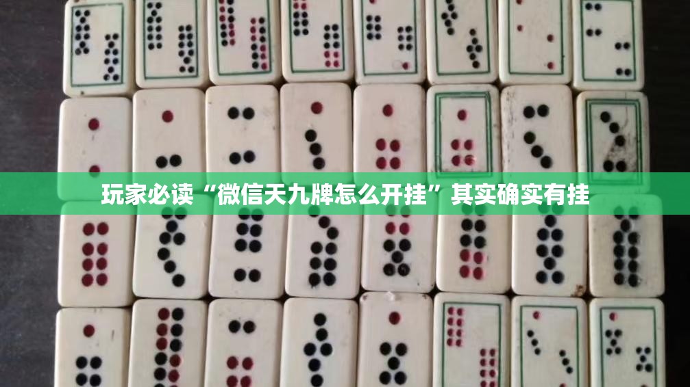 玩家必读“微信天九牌怎么开挂”其实确实有挂