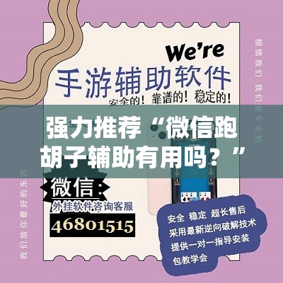 强力推荐“微信跑胡子辅助有用吗？”详细分享装挂步骤