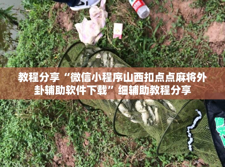 教程分享“微信小程序山西扣点点麻将外卦辅助软件下载”细辅助教程分享
