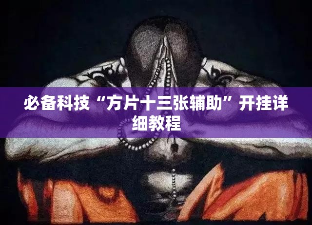 必备科技“方片十三张辅助”开挂详细教程