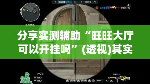 分享实测辅助“旺旺大厅可以开挂吗	”(透视)其实确实有挂