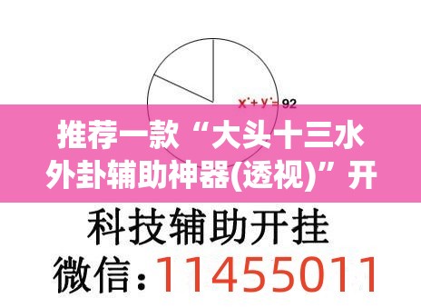 推荐一款“大头十三水外卦辅助神器(透视)”开挂辅助脚本+详细开挂安装教程