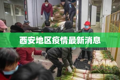 西安地区疫情最新消息/西安疫情地区分类