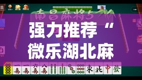 强力推荐“微乐湖北麻将可以开挂吗”开挂详细教程