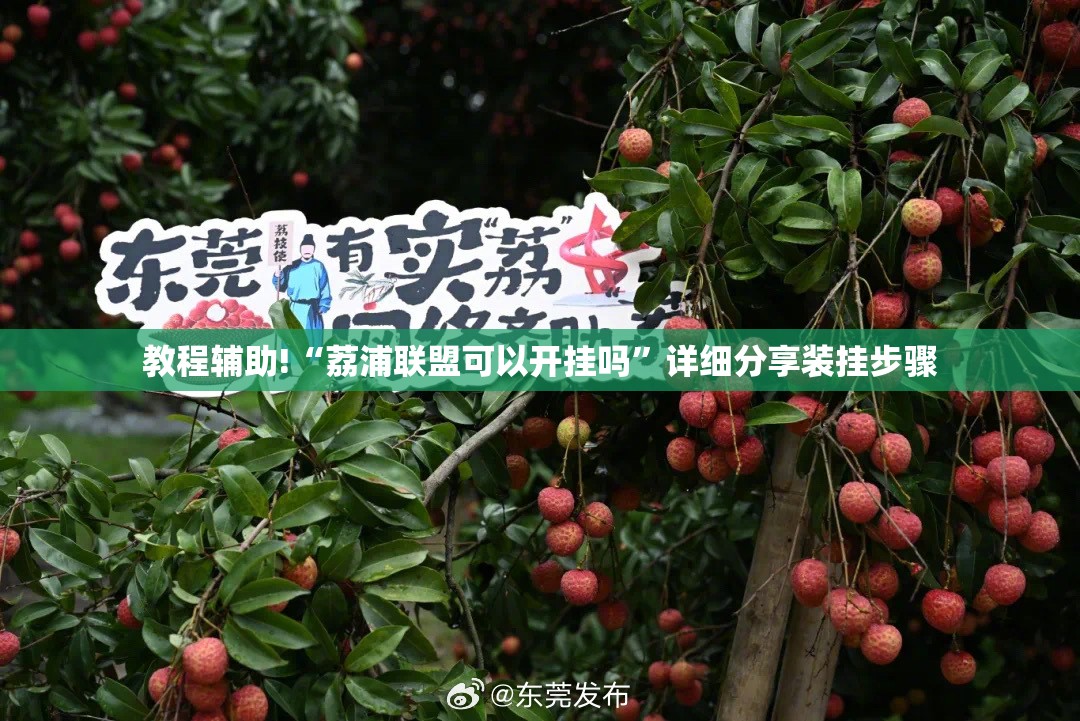 教程辅助!“荔浦联盟可以开挂吗”详细分享装挂步骤