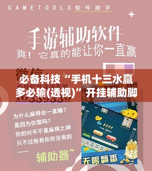 必备科技“手机十三水赢多必输(透视)”开挂辅助脚本+详细开挂安装教程