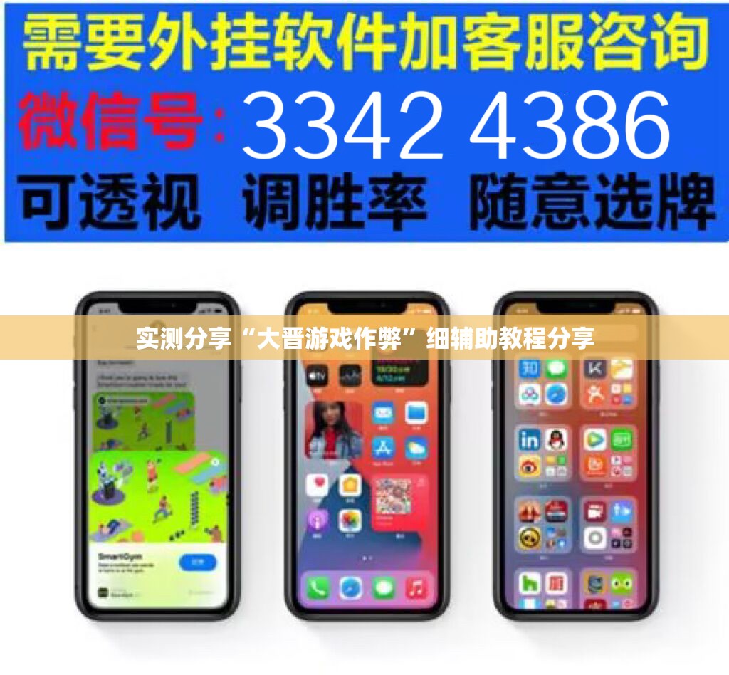 实测分享“大晋游戏作弊	”细辅助教程分享