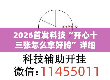 2026首发科技“开心十三张怎么拿好牌	”详细外挂透视辅助软件教程