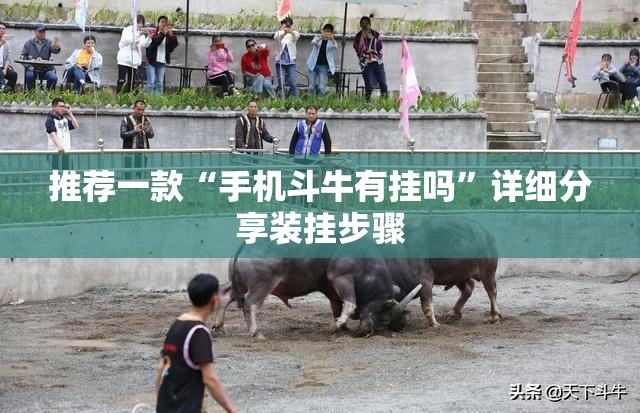 推荐一款“手机斗牛有挂吗”详细分享装挂步骤