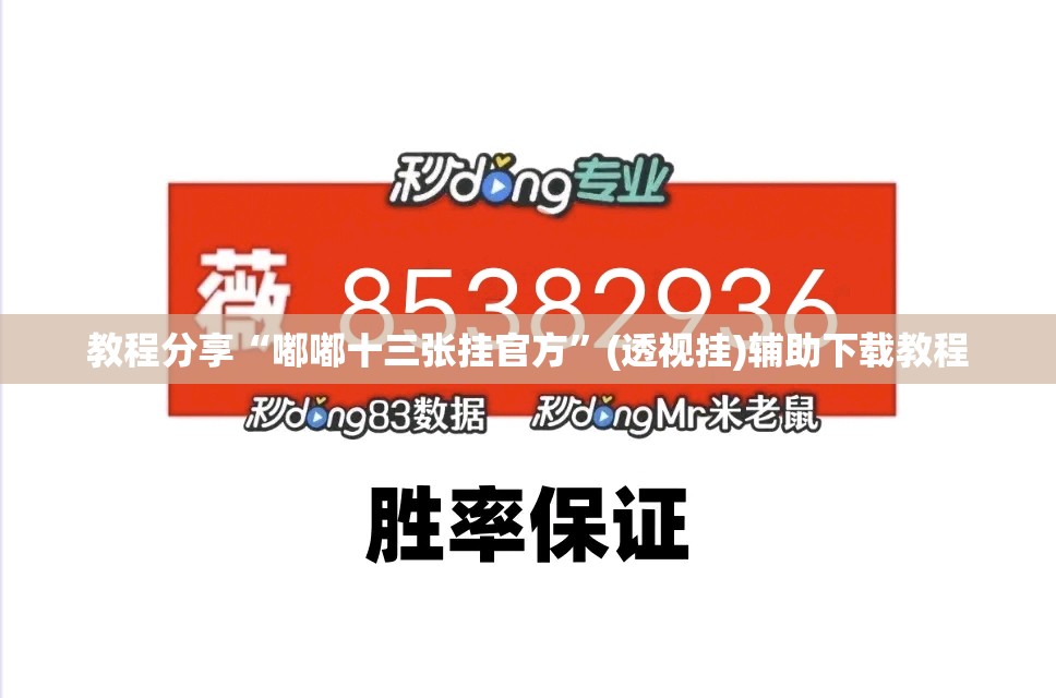 教程分享“嘟嘟十三张挂官方”(透视挂)辅助下载教程