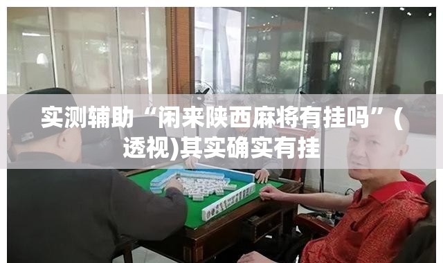 实测辅助“闲来陕西麻将有挂吗”(透视)其实确实有挂