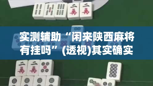 实测辅助“闲来陕西麻将有挂吗	”(透视)其实确实有挂