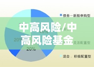 中高风险/中高风险基金